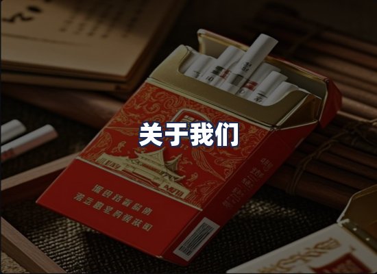 关于我们